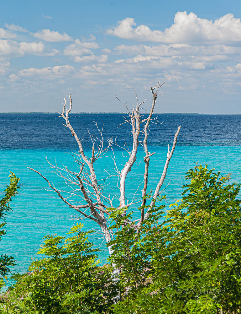 Cienaga de Zapata National Park. Province of 