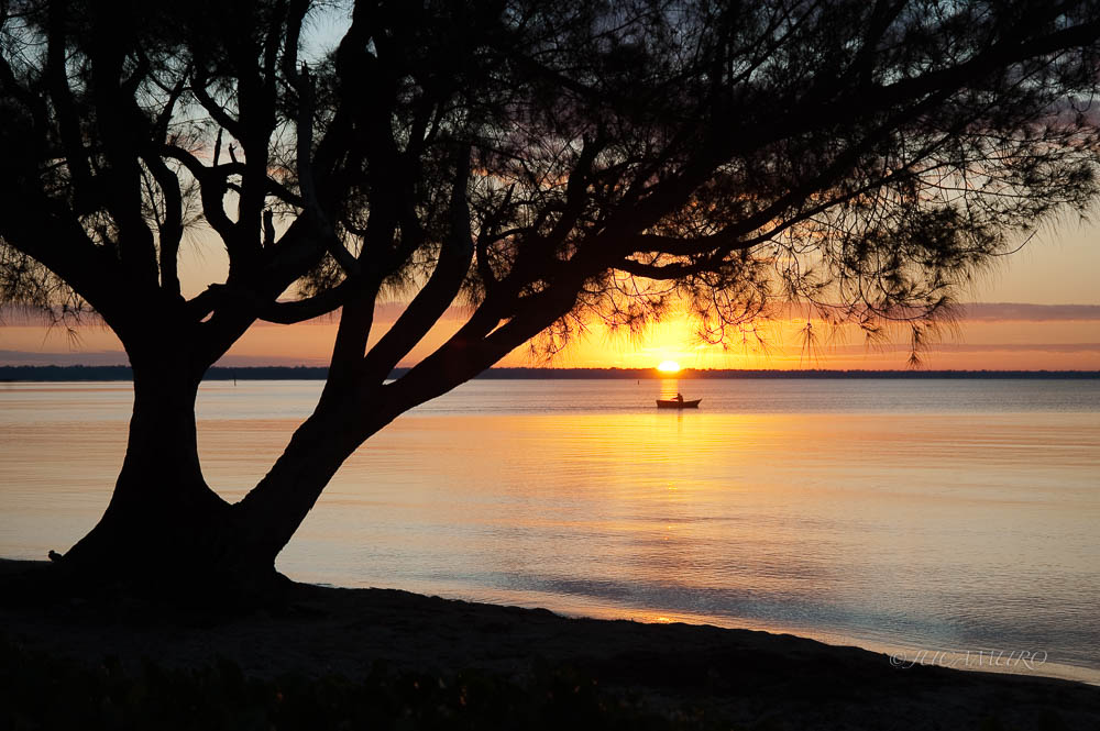 Cienaga de Zapata National Park. Province of 