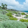 Parque Nacional de Gunahacabibes. Mar Caribe. Cuba.