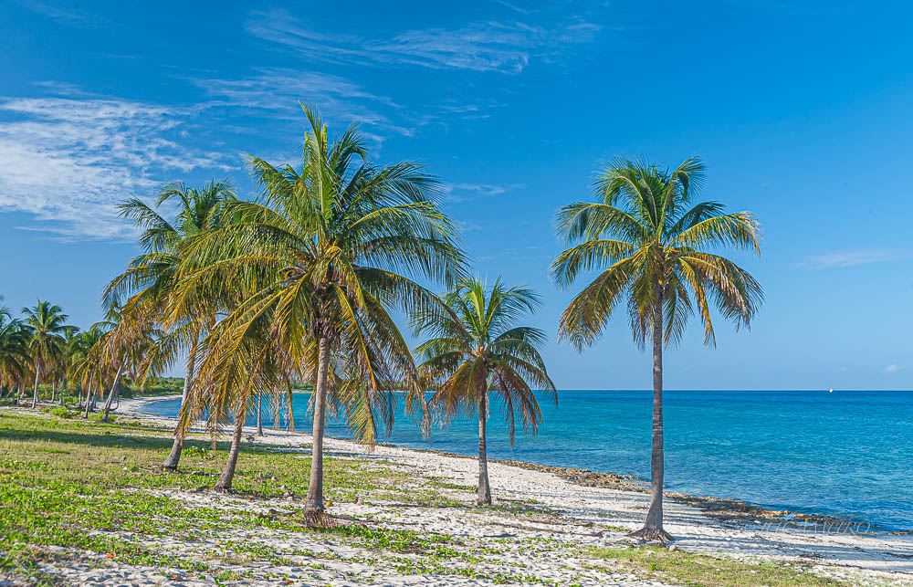 Gunahacabibes National Park. Caribbean Sea. Cuba.