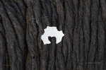 Fragmento de caparazón de cangrejo sobre campo de lava. Isla Bartolomé. Islas Galápagos. Ecuador. Sudamérica.