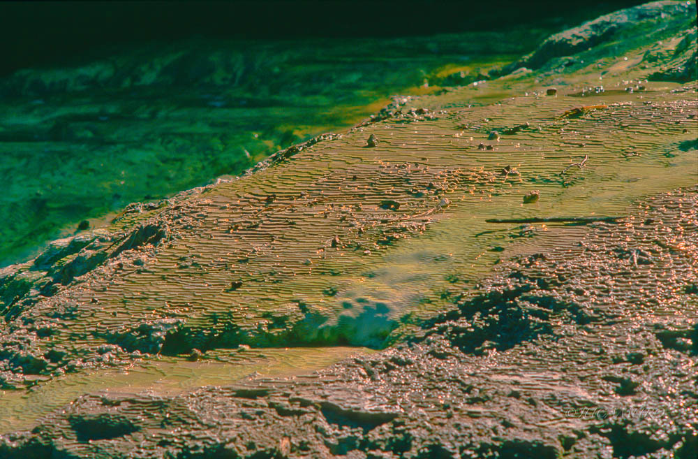 Geothermal phenomena Wai-O-Tapu. New Zealand.
