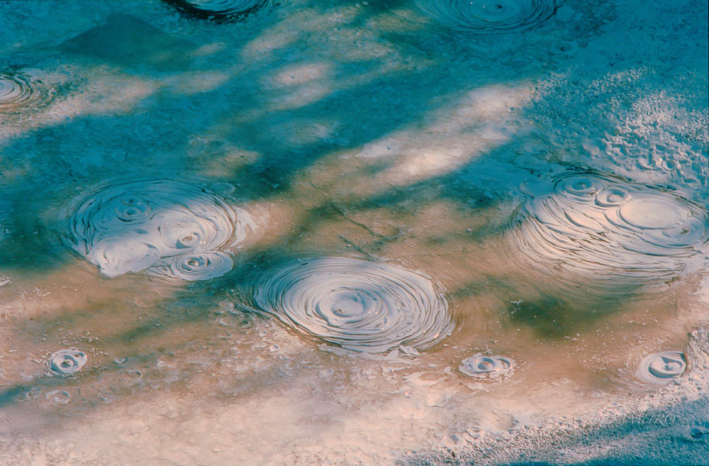 Geothermal phenomena Wai-O-Tapu. New Zealand.