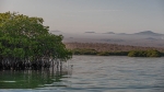 Manglar y pequeña cordillera volcánica. Isla de Sta Cruz - Seymour. Islas Galápagos. Ecuador.