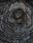 Formaciones en los campos de lava de  Isla Bartolomé. Islas Galápagos. Ecuador. Sudamérica.