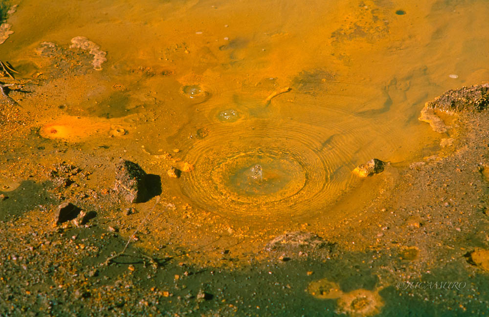 Geothermalism. Taupo volcanic area. North Island. New Zealand.