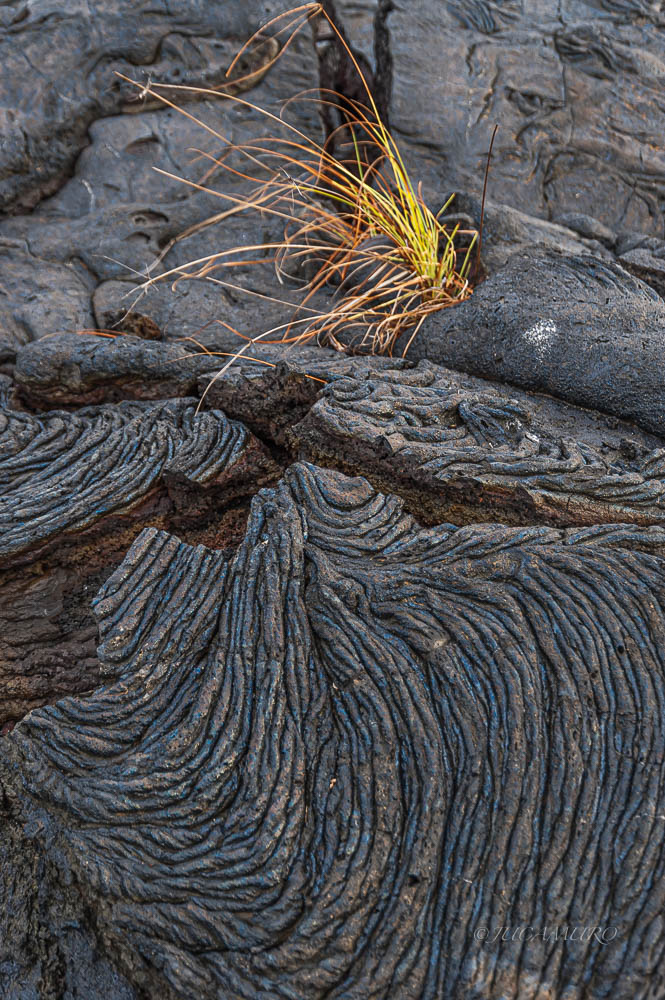 Bartolomé Island. Galapagos Islands. Ecuador. South America.