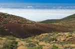 PN del Teide. Tenerife. Islas Canarias. España.