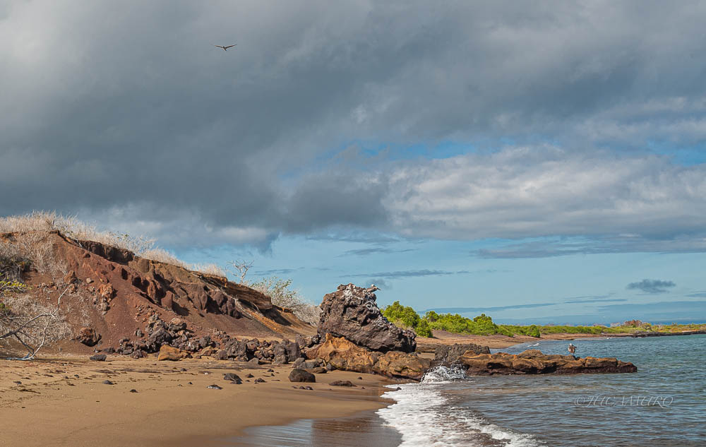 Coast formed by fragmentation of volcanic rock. Floreana Island. Galapagos Islands. Ecuador. South America.