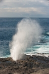 Sopladores. Isla La Española. Islas Galápagos. Ecuador. Sudamérica.