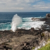 Sopladores. Isla La Española. Islas Galápagos. Ecuador. Sudamérica.