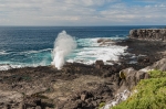 Sopladores. Isla La Española. Islas Galápagos. Ecuador. Sudamérica.