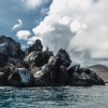 Isla Floreana. Islas Galápagos. Ecuador. Sudamérica.