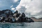 Isla Floreana. Islas Galápagos. Ecuador. Sudamérica.