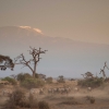 Volcán Kilimanjaro. Vista desde el Parque Nacional Amboseli en Kenia. África Oriental.