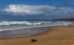 Praia da Bordeira. Parque Natural del Suroeste Alentejano y Costa Vicentina. Portugal.