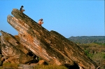 Acantilado de Ubirr. East Alligator region of Kakadu National Park in the Northern Territory of Australia