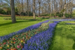 Jardín floral de Keukenhof. Países Bajos.
