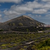 Finca vitivinícola en La Geria.