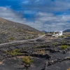 Finca vitivinícola en La Geria.