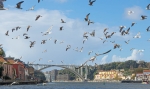 DSCN6267.jpg