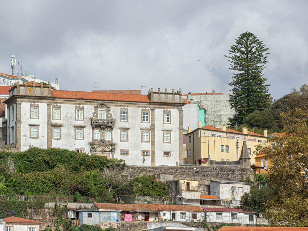 DSCN6294.jpg