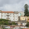 DSCN6294.jpg