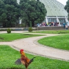 Palacio de Cristal.
