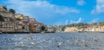 DSCN6264.jpg