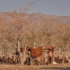 Poblado himba.